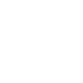 Dolphin icon