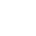 Sea turtle icon