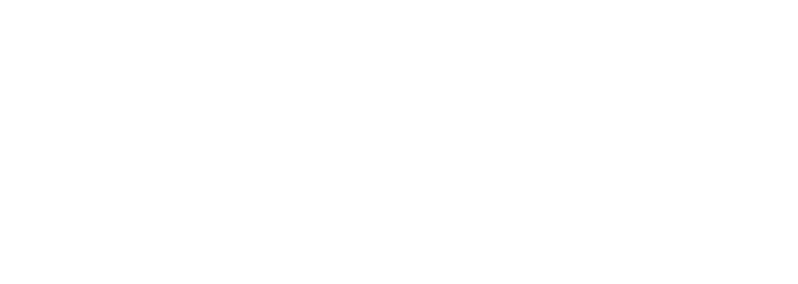 Cage Free Shark Diving