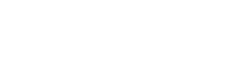 Shark Tour - Our Experience