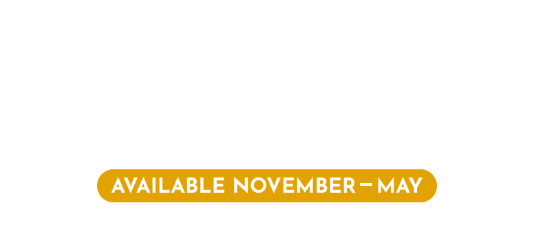 Cage Free Shark Diving