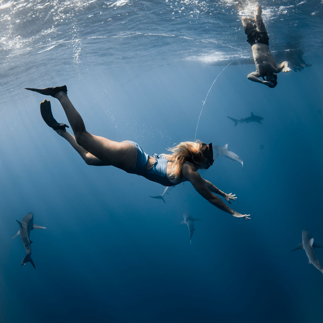 A woman in a blue swimsuit and fins dives underwater surrounded by sharks off the coast of Hawaii