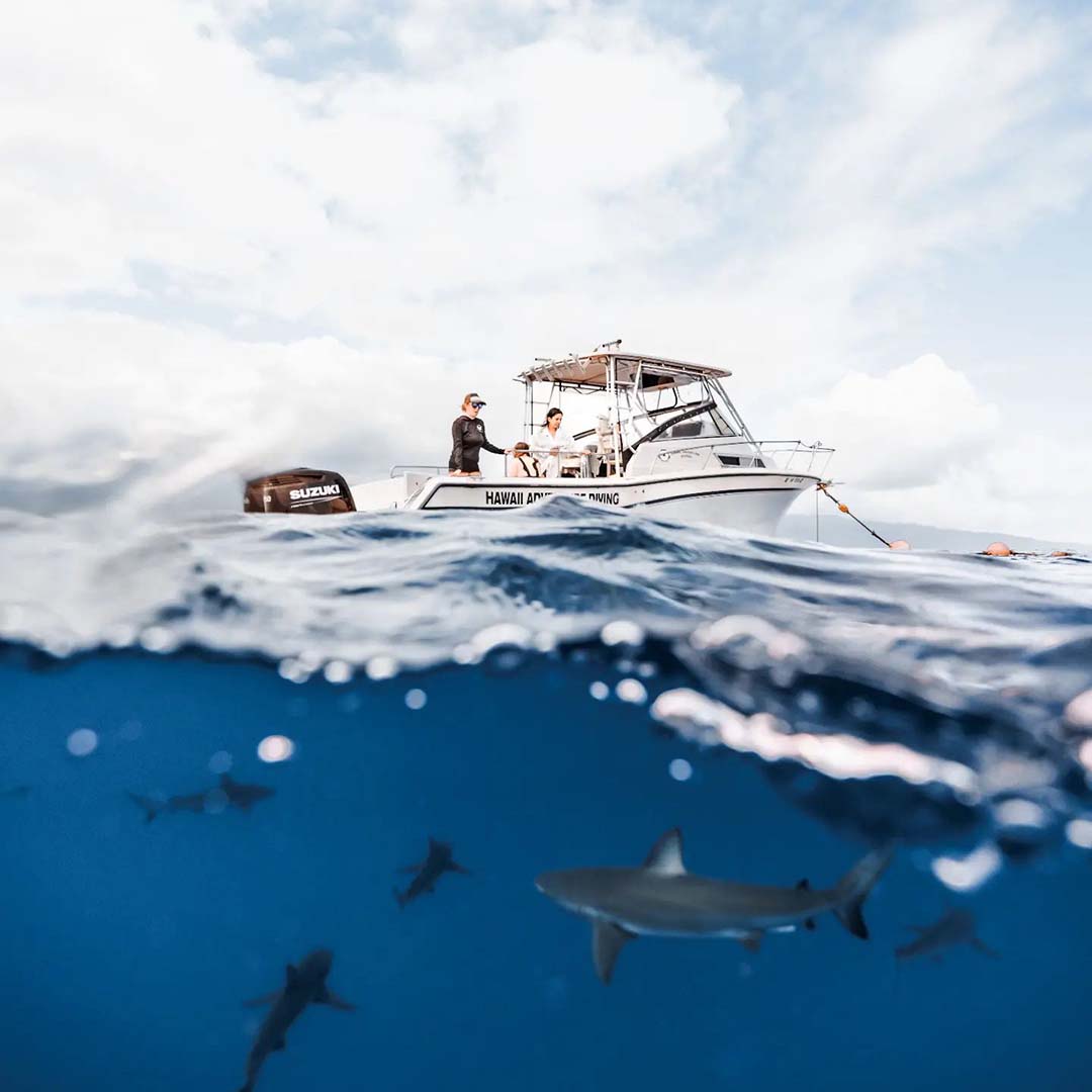 A semi underwater photo taken from the ocean of the Hawaii Adventure Diving shark diving our boat. The boat captain can be seen at the helm while a group of sharks swim in the waters just below. The composition of the photo is exceptional capturing the scenes both above and below the water's surface simulteneously.